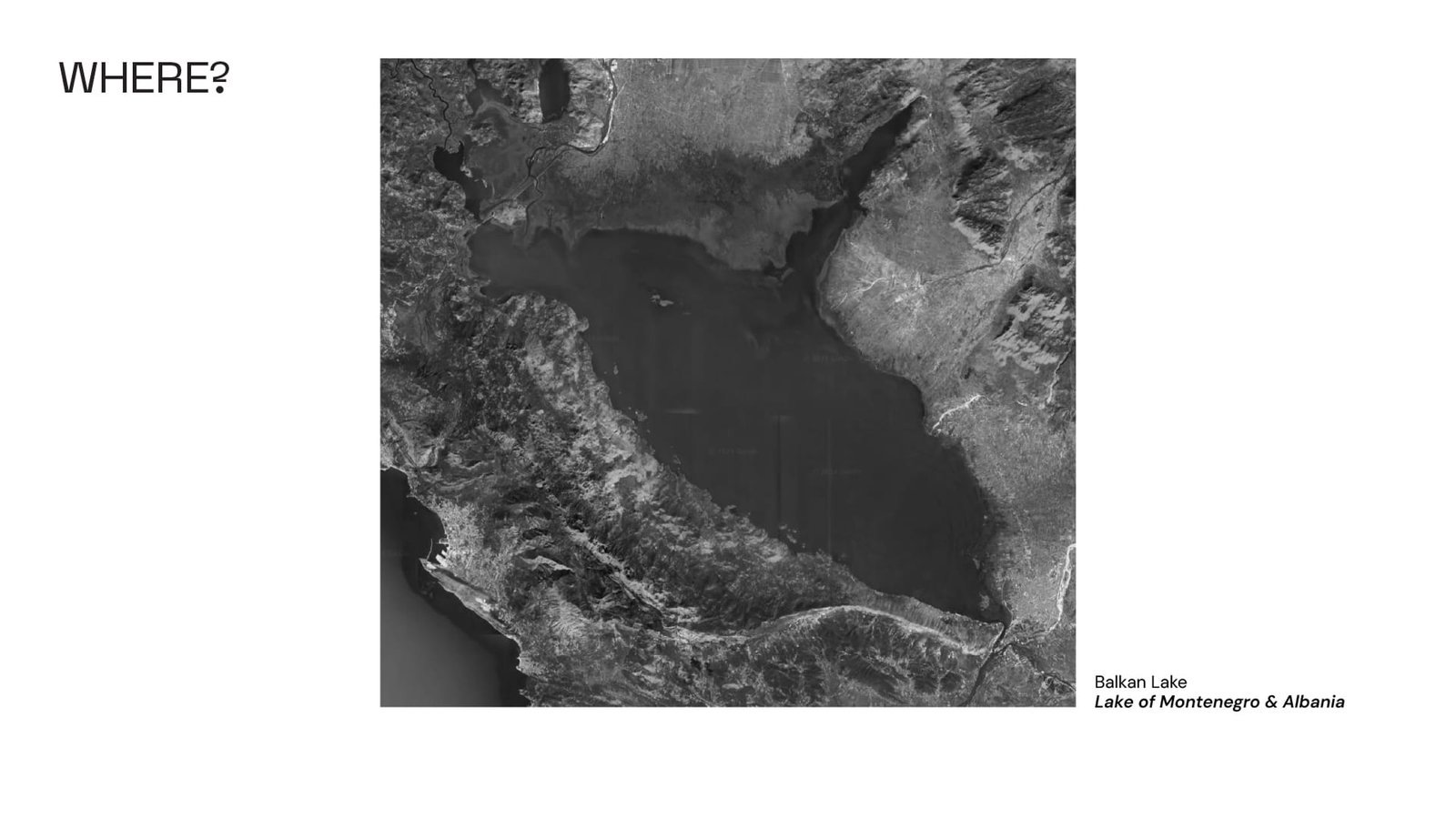 Tidal Trails Why and Where cover 01